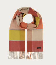 Load image into Gallery viewer, Cashmink Scarf "Box Check" - V.Frass