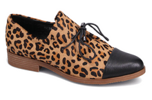 Load image into Gallery viewer, Django and Juliette Shoe &quot;Kotty&quot;  Ocelot
